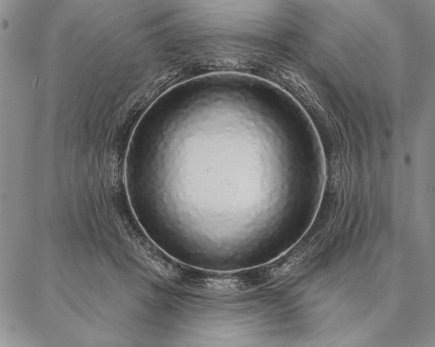 X0000087380457200704271601