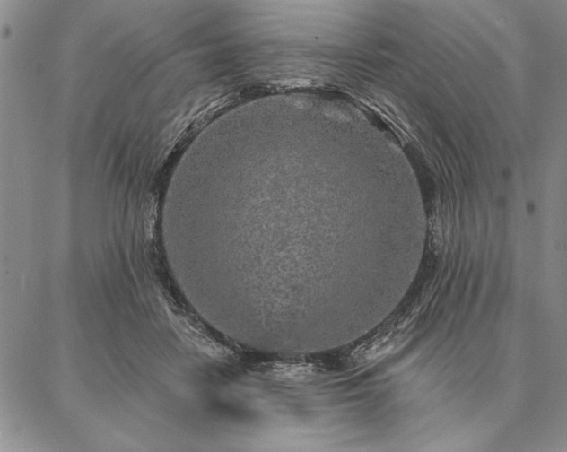 X0000087380458200704271601