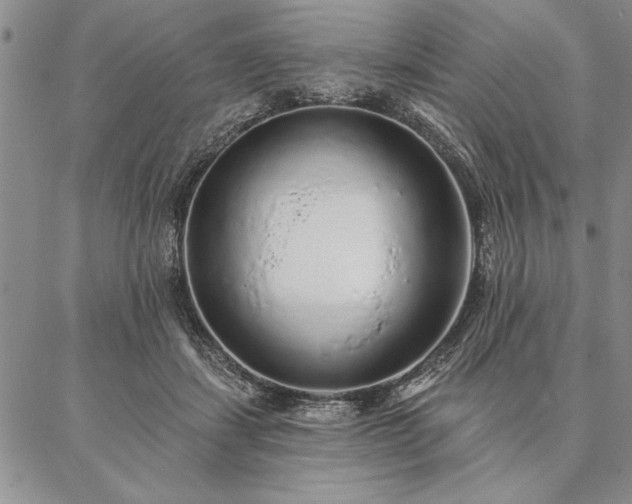 X0000087380459200704271601