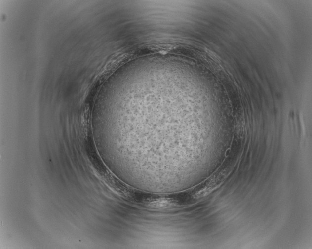 X0000087380460200704271601