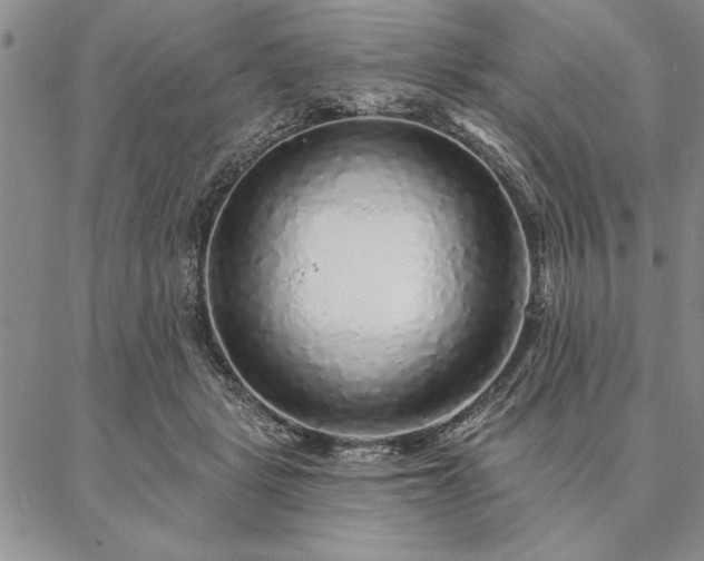 X0000087380461200704271601