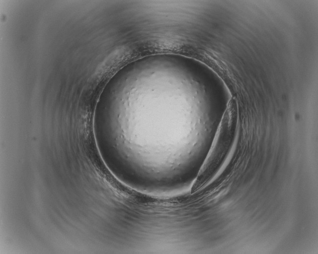 X0000087380462200704271601