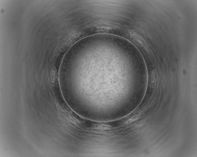 X0000087380463200704271601