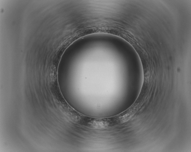 X0000087380464200704271601