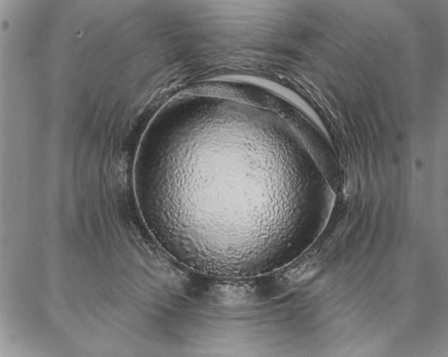 X0000087380466200704271601