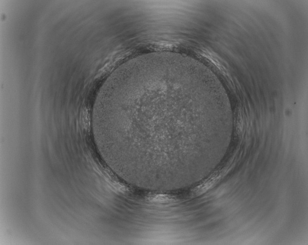 X0000087380467200704271601