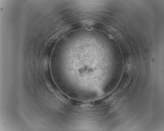 X0000087380468200704271601