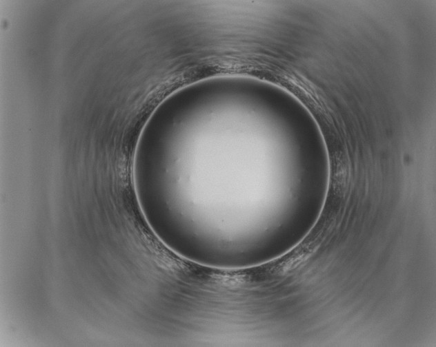 X0000087380469200704271602