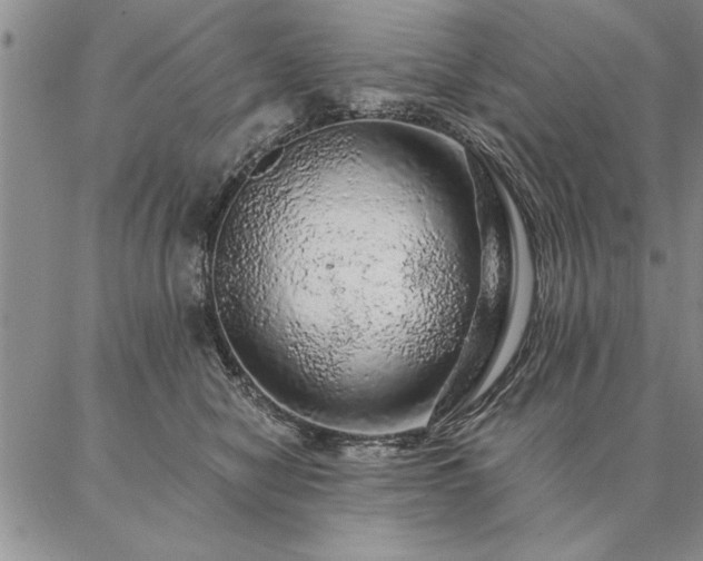 X0000087380470200704271602