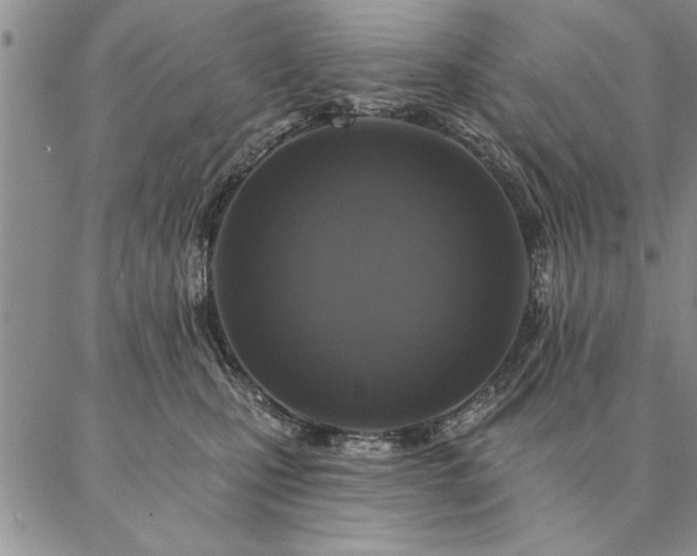 X0000087380471200704271602