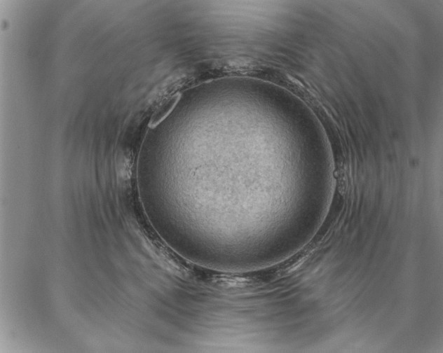 X0000087380472200704271602