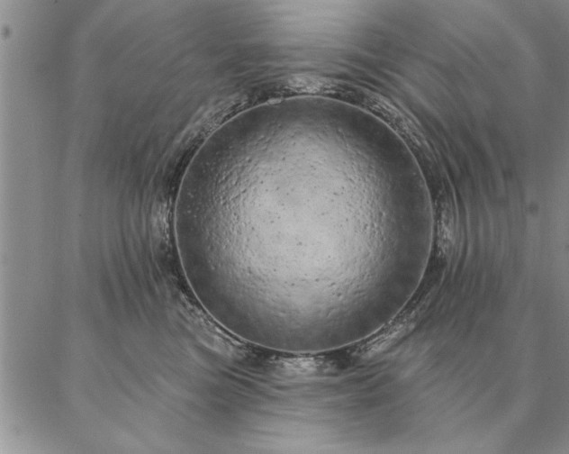 X0000087380473200704271602