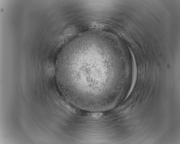 X0000087380474200704271602