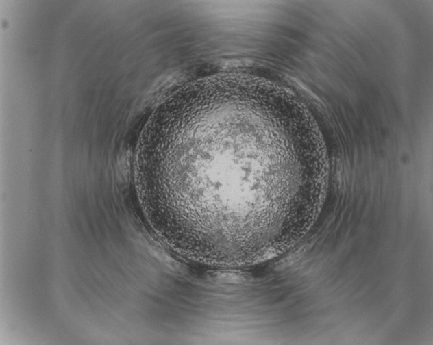 X0000087380475200704271602