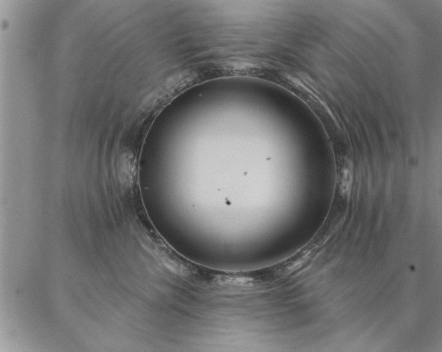 X0000087380476200704271602