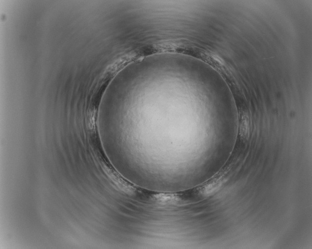 X0000087380477200704271602