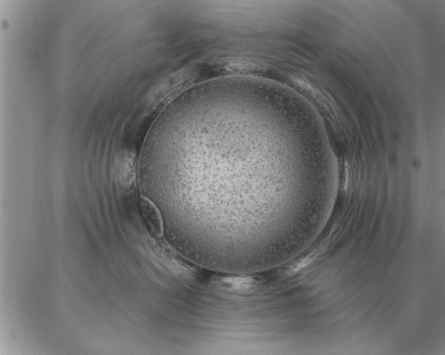 X0000087380478200704271602