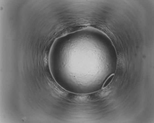 X0000087380479200704271602