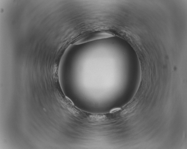 X0000087380480200704271602