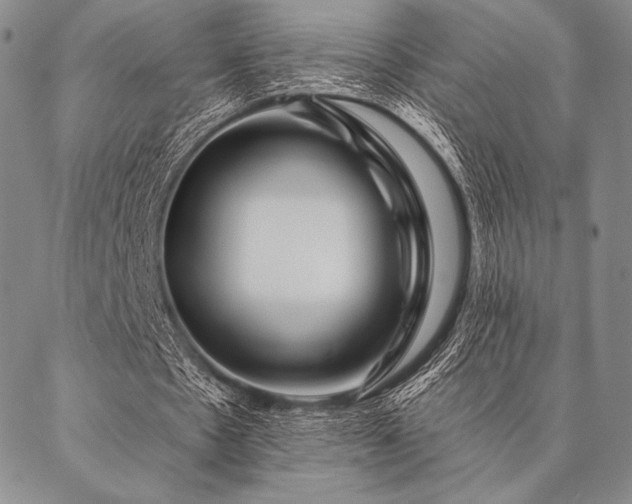 X0000087380481200704271601