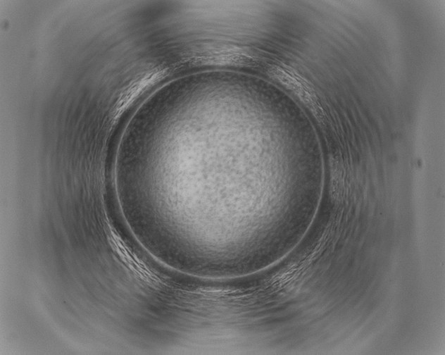 X0000087380482200704271601