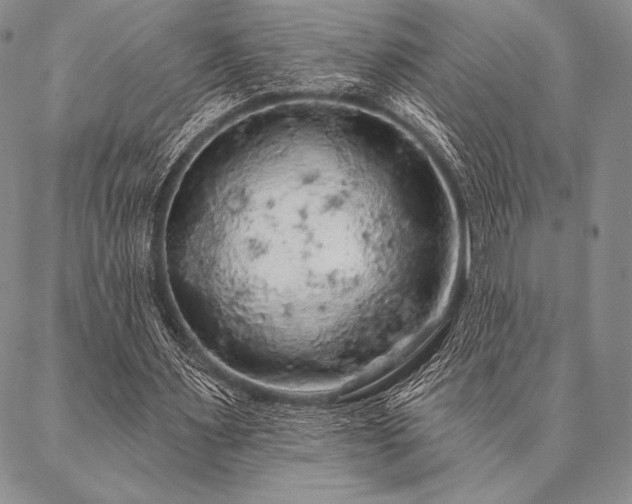 X0000087380483200704271601