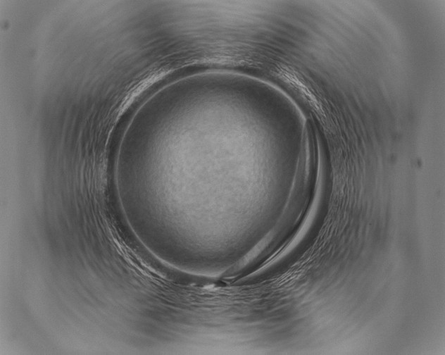 X0000087380484200704271601