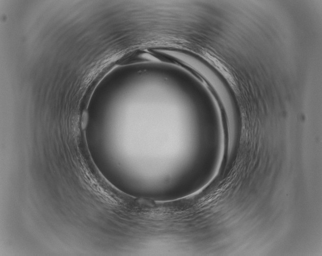 X0000087380485200704271601