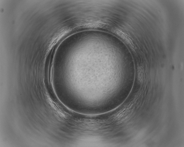 X0000087380486200704271601