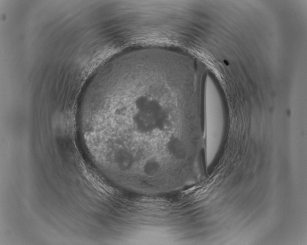 X0000087380487200704271601