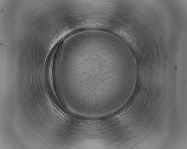 X0000087380488200704271601