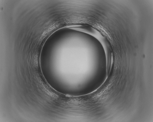 X0000087380489200704271601