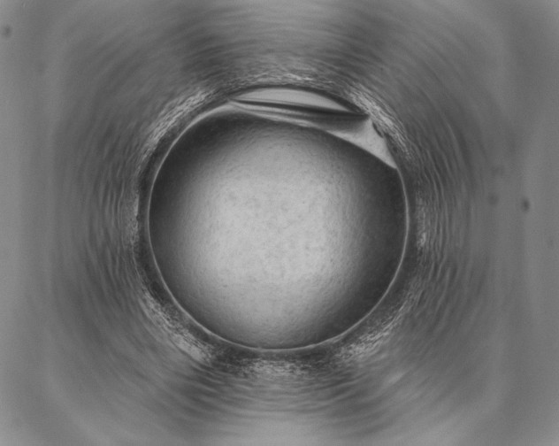 X0000087380490200704271601