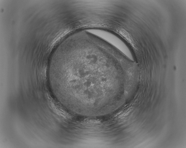 X0000087380491200704271601