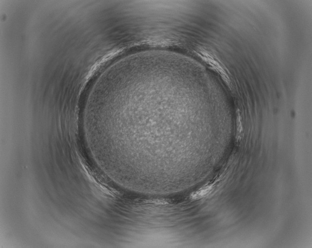 X0000087380492200704271601