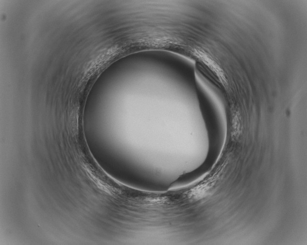 X0000087380493200704271601