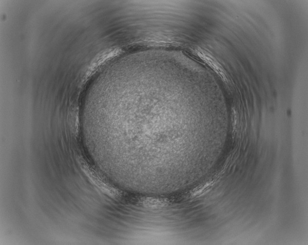 X0000087380494200704271601