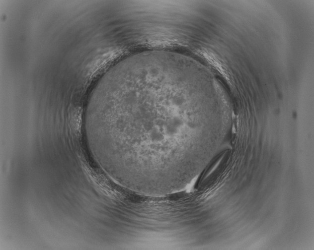 X0000087380495200704271601