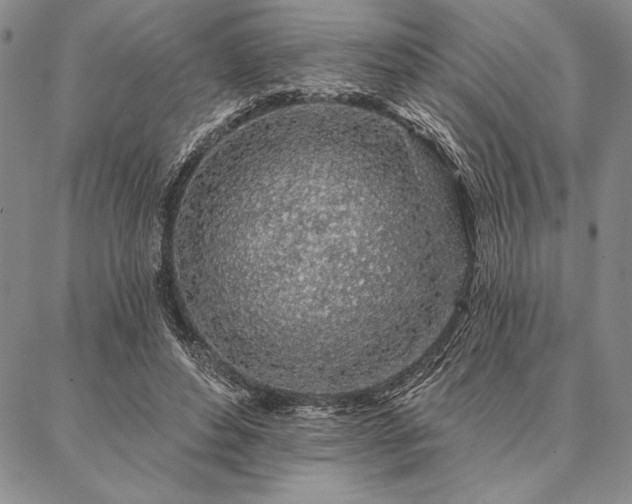 X0000087380496200704271601