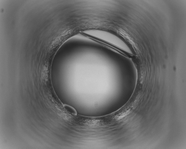 X0000087380497200704271601