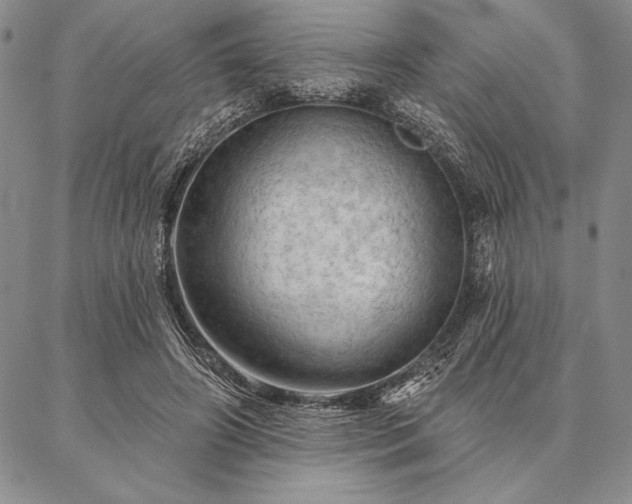 X0000087380498200704271601