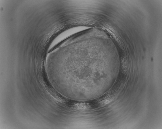 X0000087380499200704271601