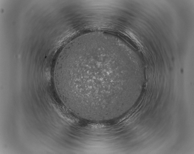 X0000087380500200704271601