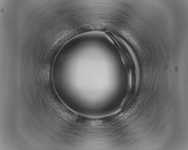 X0000087380501200704271601