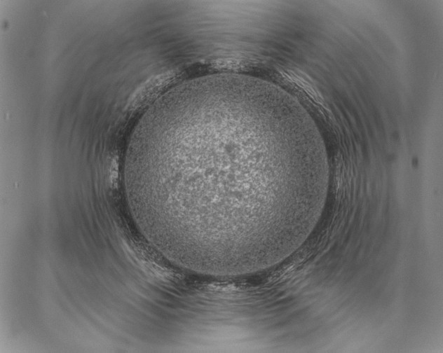 X0000087380502200704271601