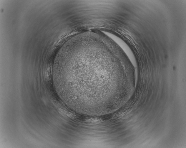 X0000087380503200704271601