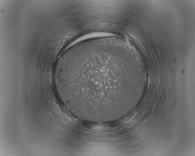 X0000087380504200704271601