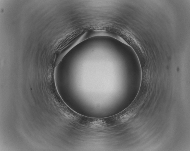 X0000087380505200704271601