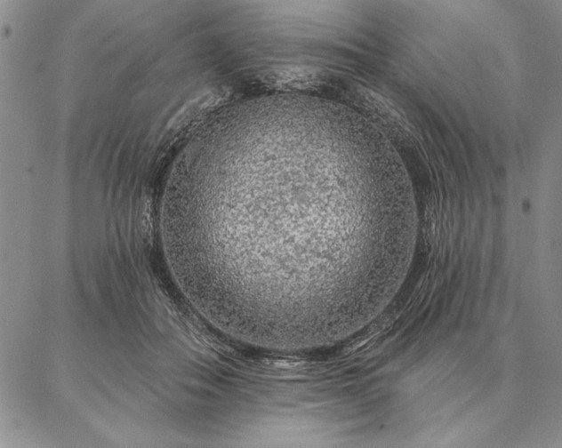 X0000087380506200704271601