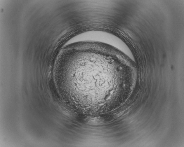 X0000087380507200704271600